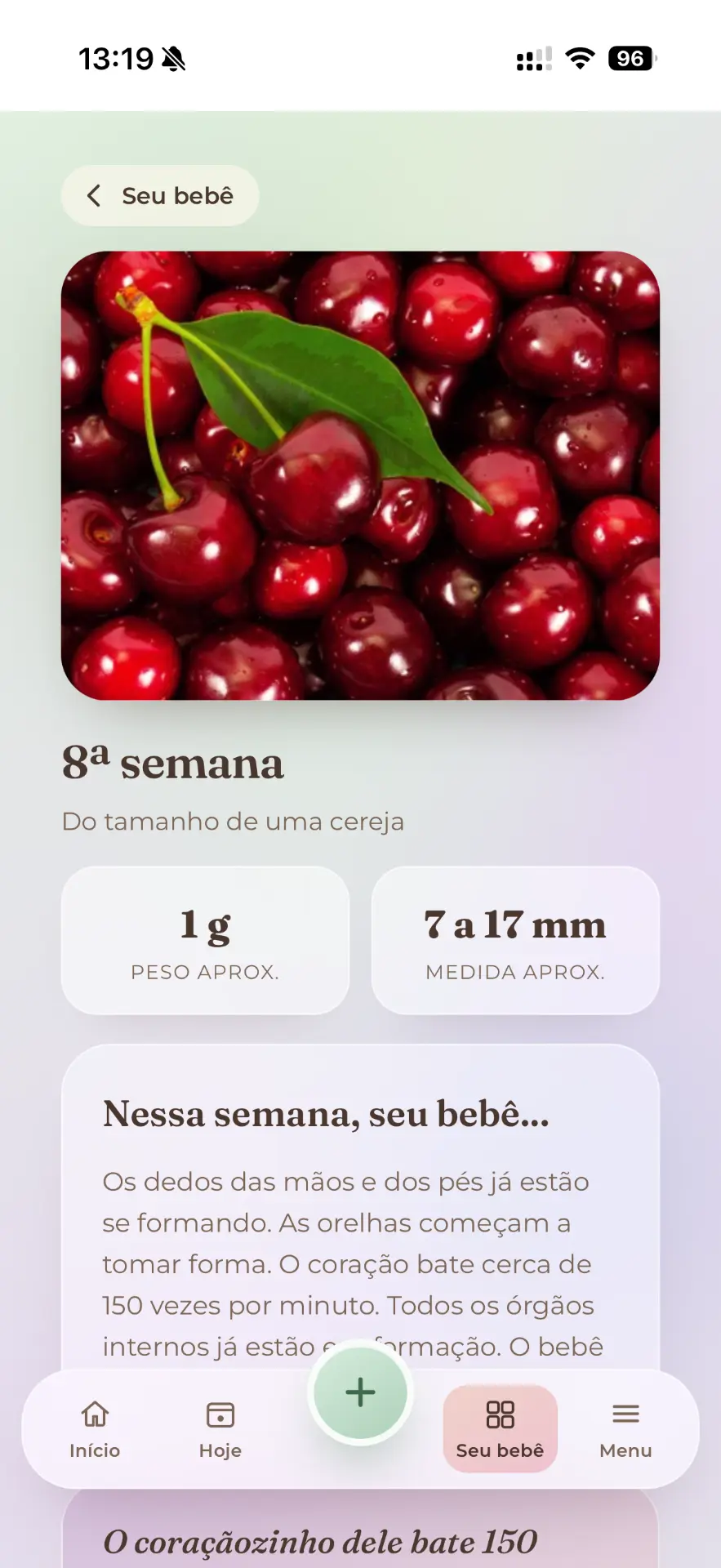 A gestação, semana a semana